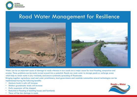 Frontpage manual: Best Practices Road Water Management for Resiliences