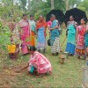 Productive Biodiversity Updates: EBRM in India's Tribal Belt