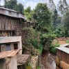 New Blog from SCARIA Project: Understanding Rodent Infestations in Wolaita Sodo, Ethiopia