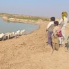 New Blog from NEWARBI Project: The Sounwah Flood Guide Bund