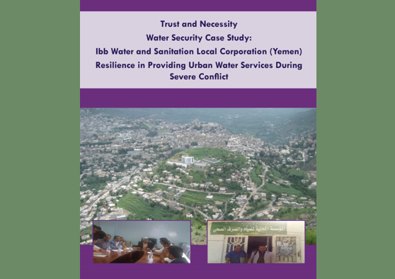 Frontpage manual: Ibb Urban Resilience - Case Study